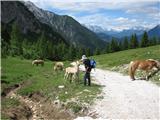 Terza Piccola (2334 m) 